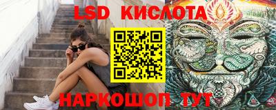 прущие грибы Рязань