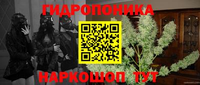 прущие грибы Рязань
