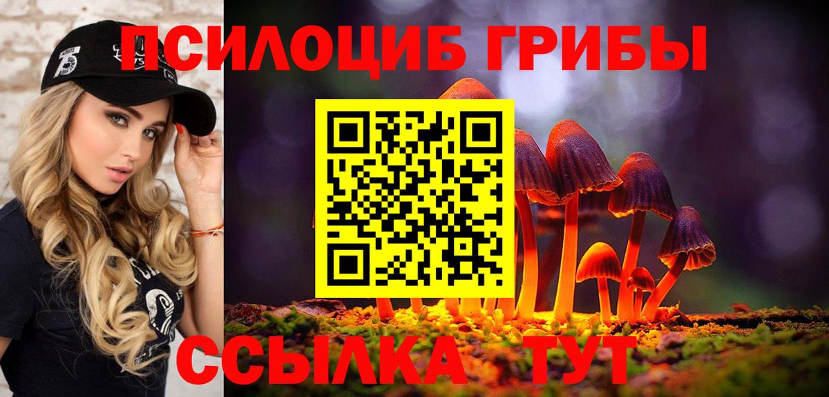 Псилоцибиновые грибы MAGIC MUSHROOMS  Вход с VPN  Ялуторовск 