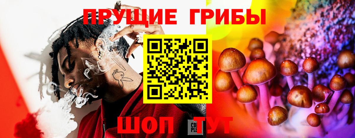 Галлюциногенные грибы прущие грибы Ялуторовск